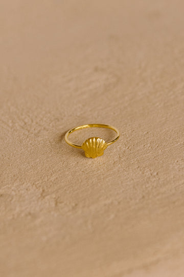 Scallop Shell Ring