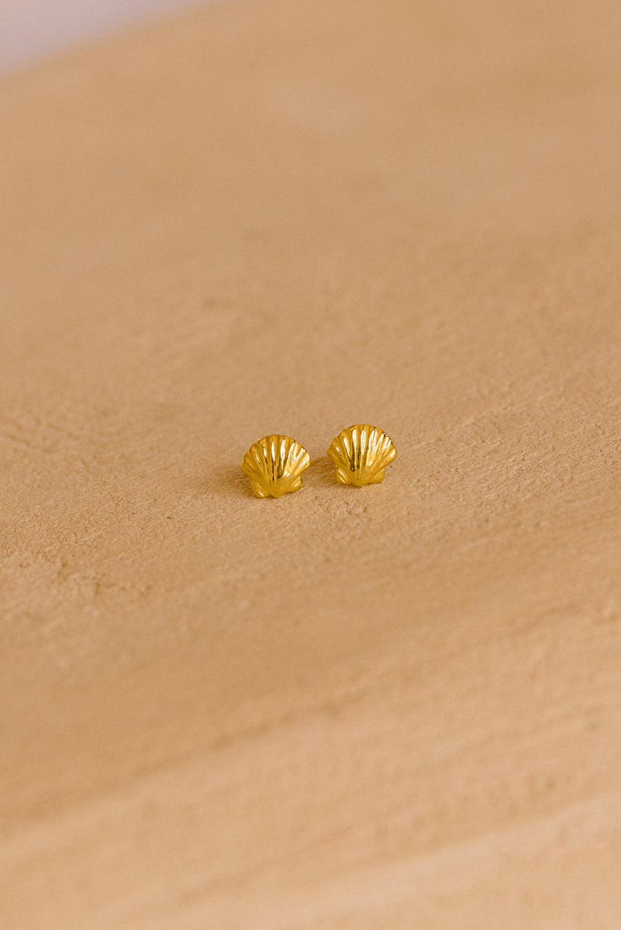 Scallop Shell Stud Earrings