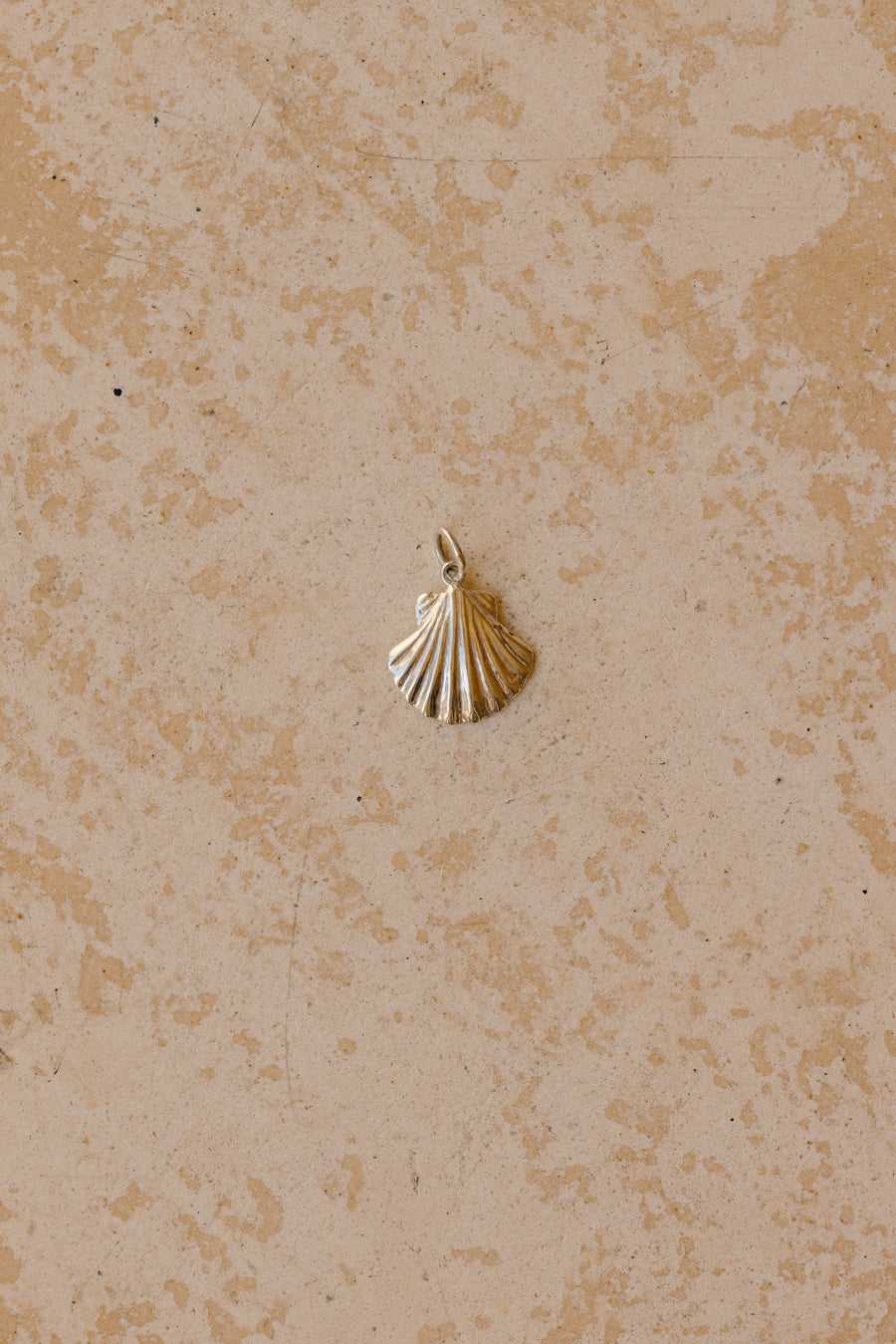 Scallop Shell Pendant