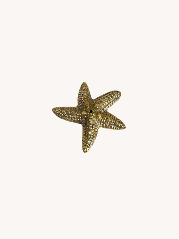 Sea Star Incense Holder