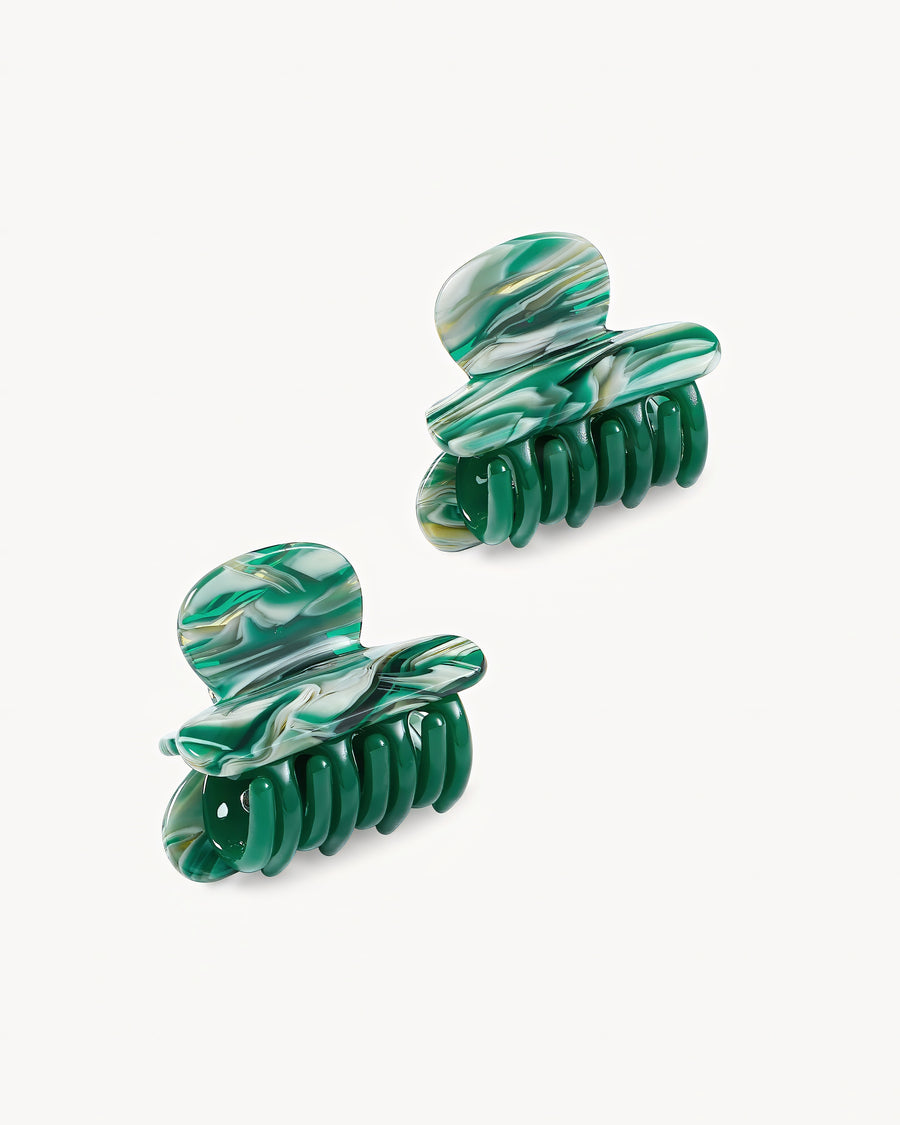 WP Twin Heirloom Claws in Stromanthe