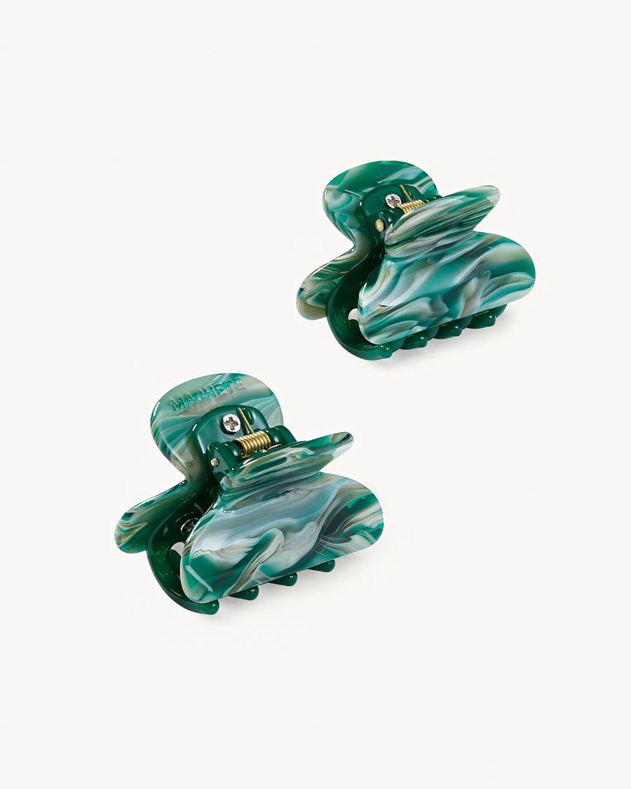 WP Twin Heirloom Claws in Stromanthe