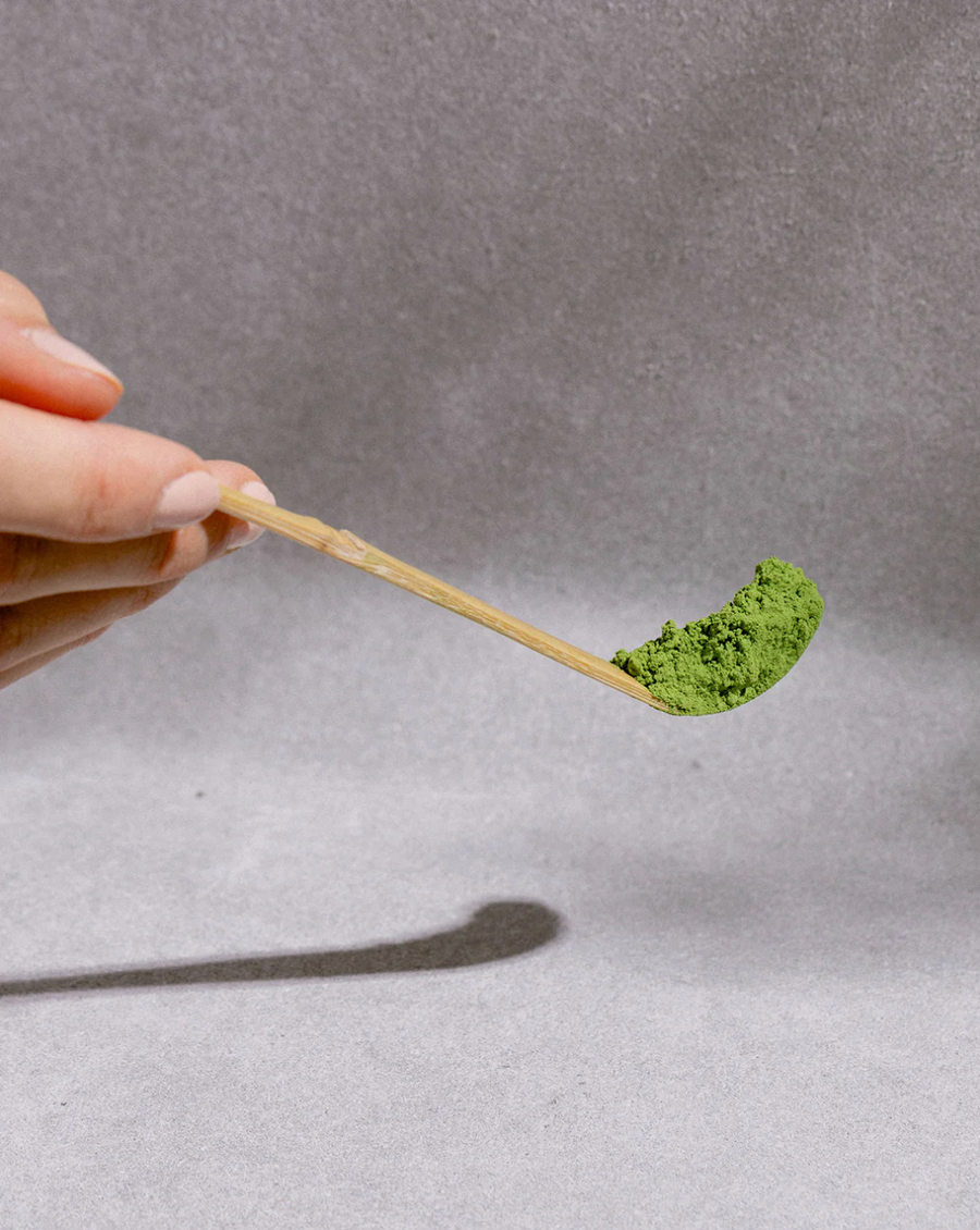 Bamboo Spoon 'Chashaku'