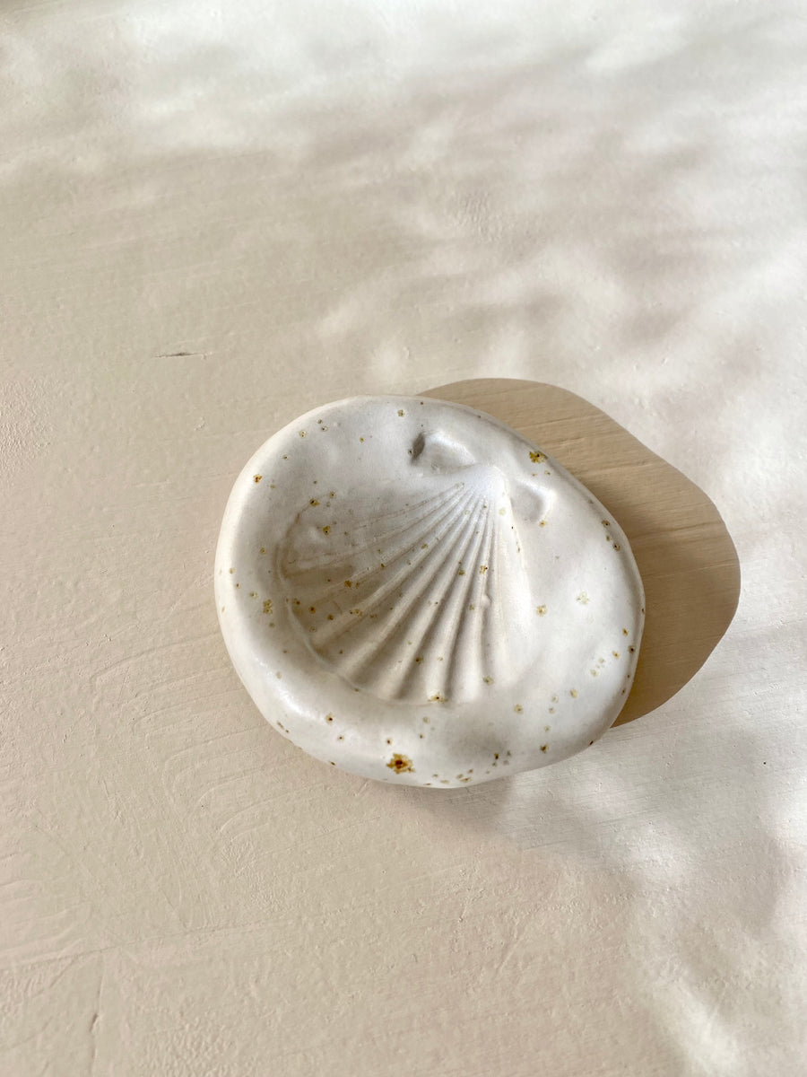 Shell - Jewelry Dish