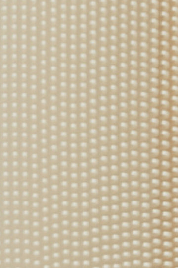 No. 2 Comb in Cream Dot