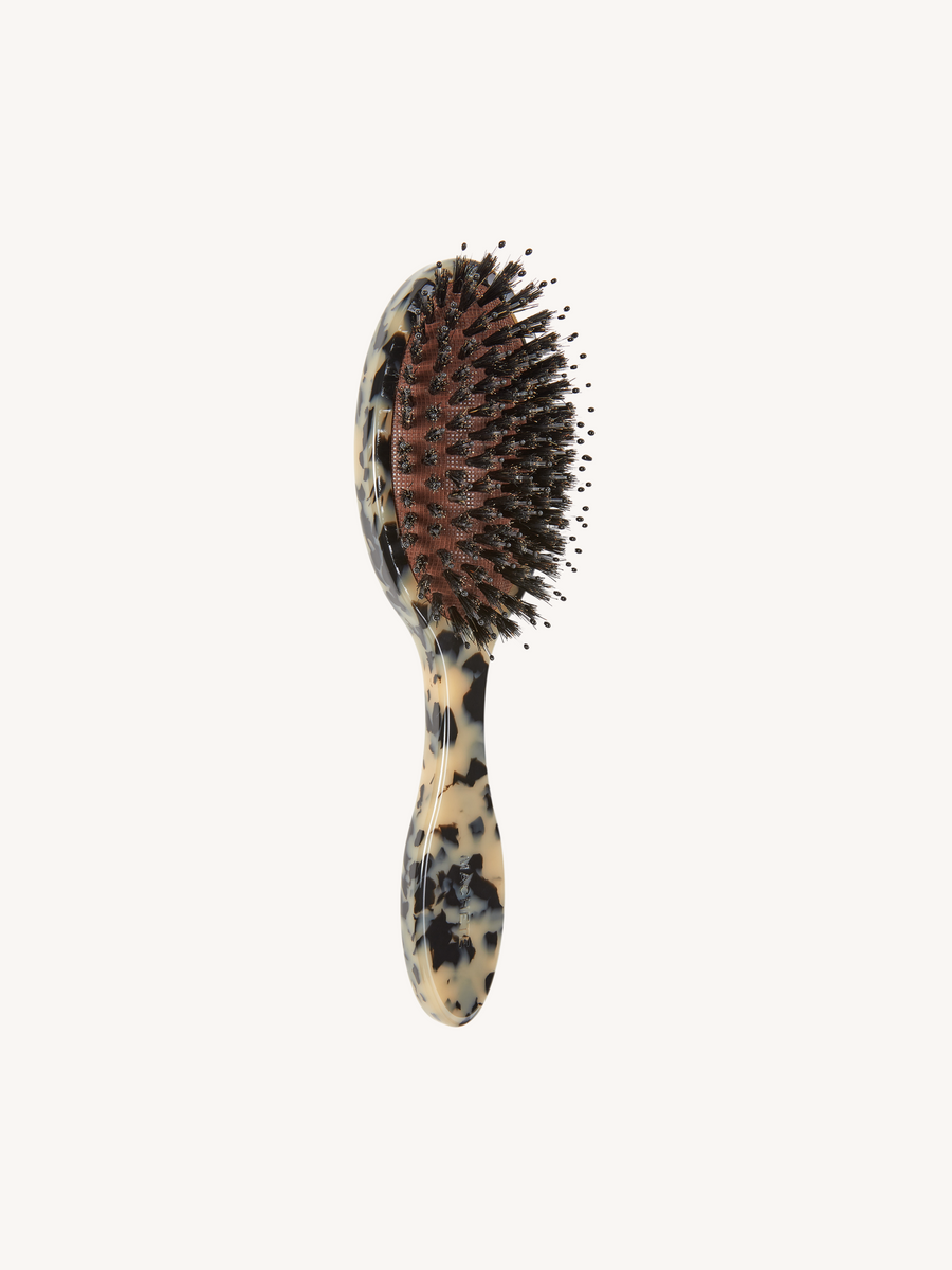 Everyday Hairbrush in Blonde Tortoise