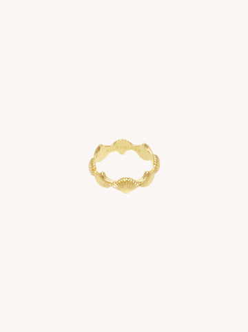 Shell Pinky Ring in Gold