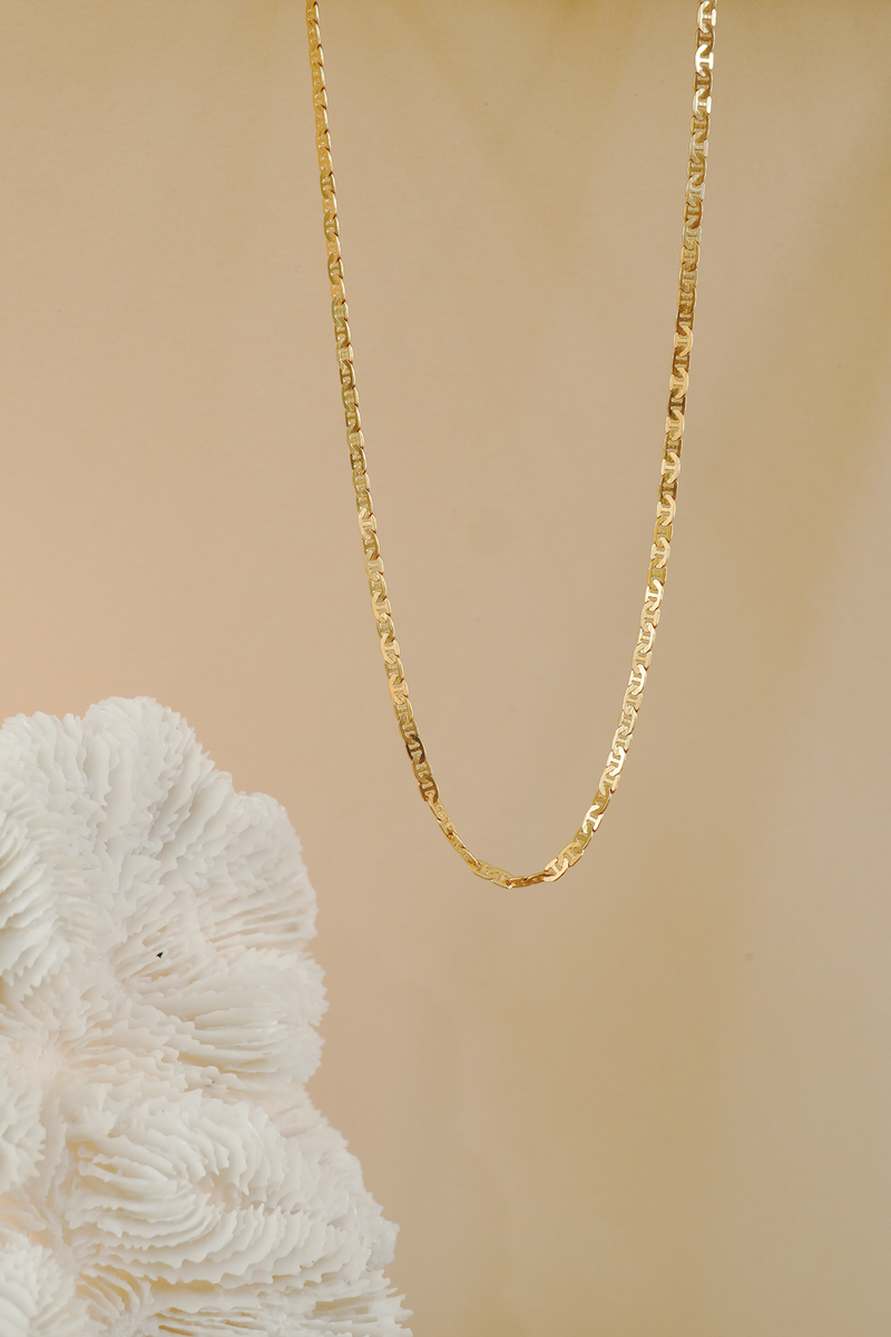 Flat Chain Necklace in Gold