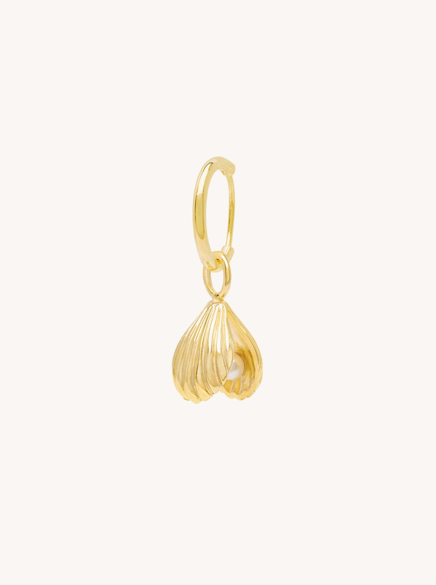 Clam Shell Earring in Gold
