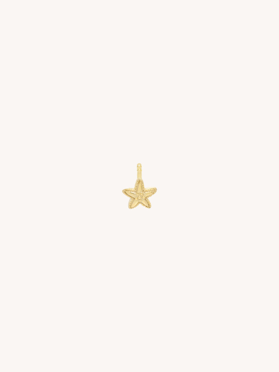 Starfish Stud in Gold