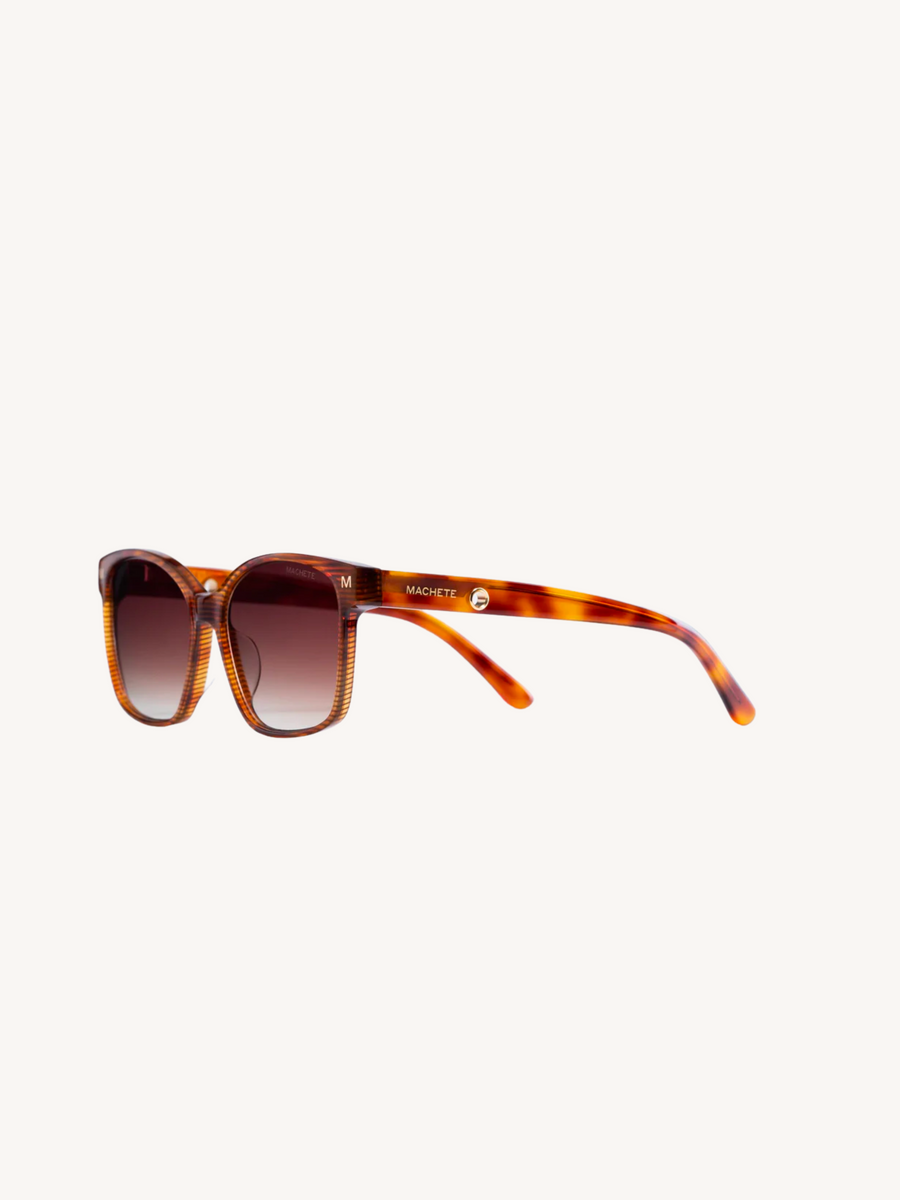 WP Jenny - Sunglasses in Dark Tortoise