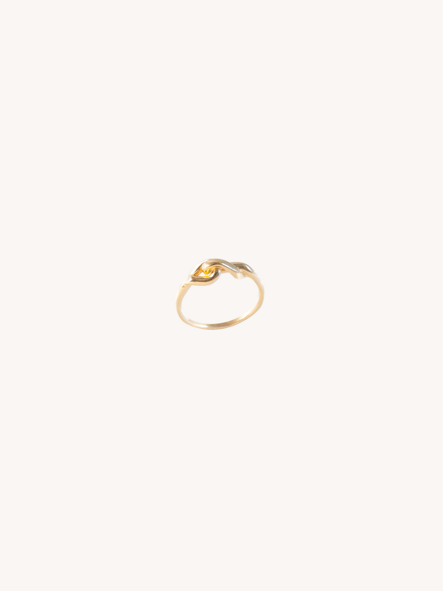 Small Embrace Ring