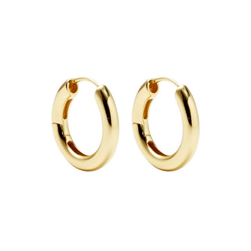 Hinge Hoops in Gold