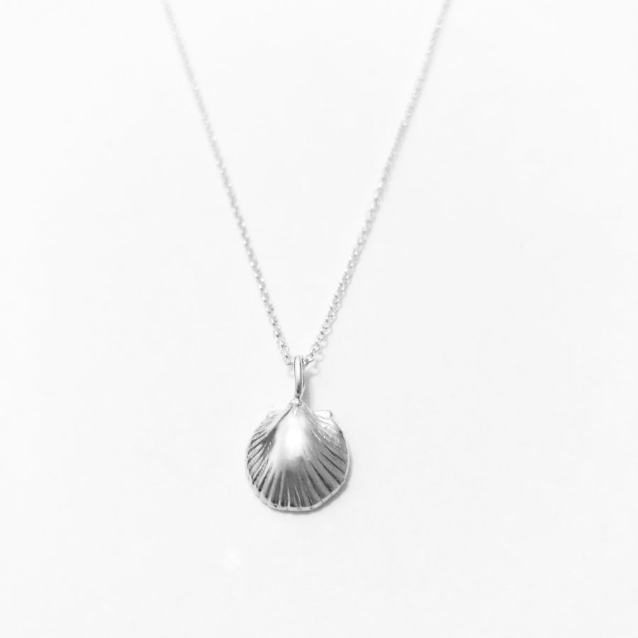 Shell Necklace in Silver